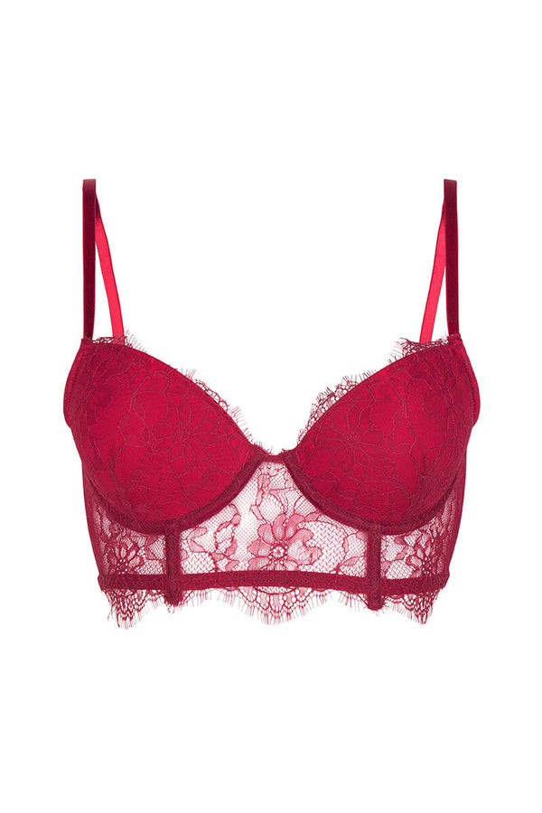 Chptr-S, Sister from another mister, Burgundy, Lace, Sexy, Robert, Wired bra